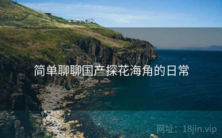 简单聊聊国产探花海角的日常  第2张