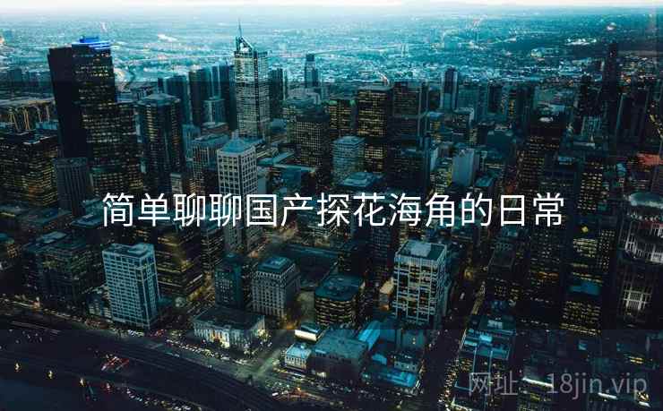 简单聊聊国产探花海角的日常  第1张