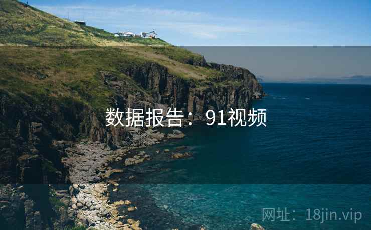 数据报告：91视频