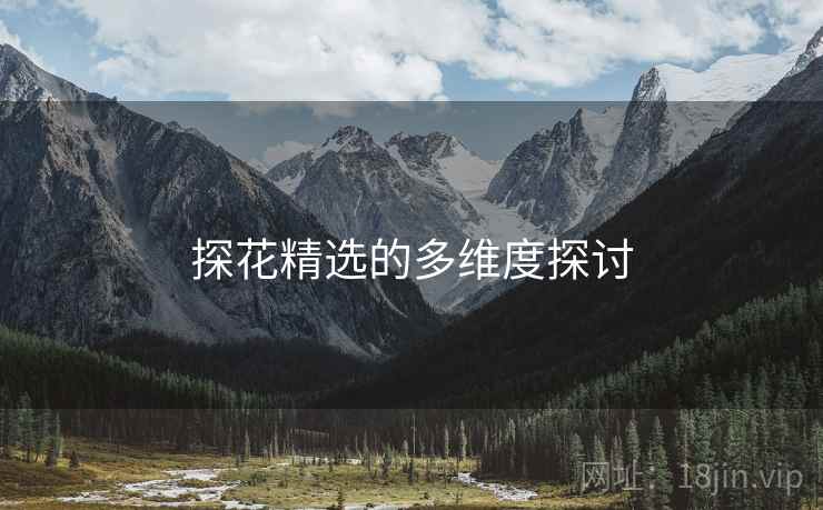 探花精选的多维度探讨