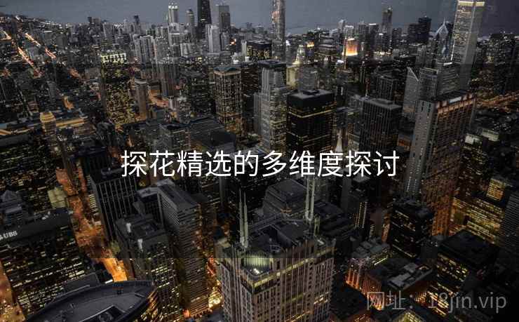探花精选的多维度探讨