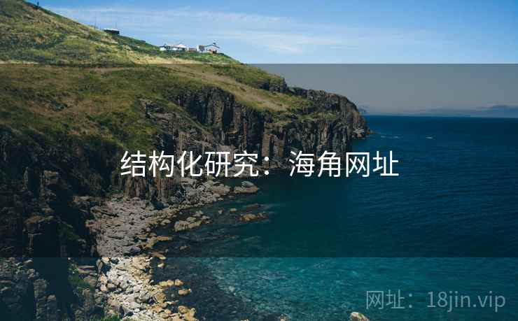 结构化研究：海角网址