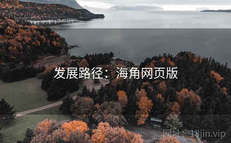 发展路径：海角网页版