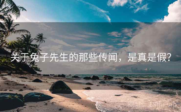 关于兔子先生的那些传闻,是真是假?  第2张 关于兔子先生的那些传闻,是真是假?  第2张