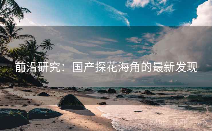 前沿研究:国产探花海角的最新发现  第2张 前沿研究:国产探花海角的最新发现  第2张